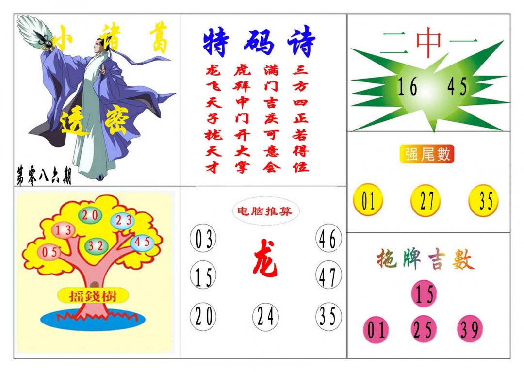 086期小诸葛[图]
